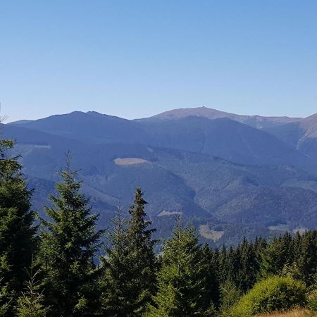 Міні Котедж Werchowyna Exterior foto
